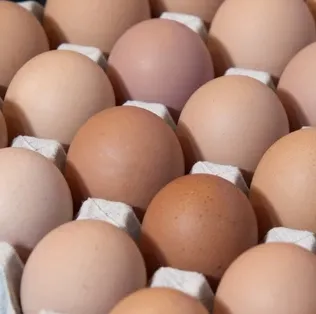 A large carton of brown eggs neatly arranged and ready for use.