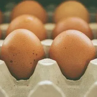 Brown eggs in a cardboard carton.