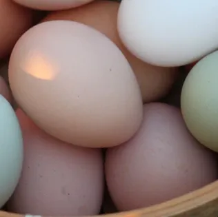 A basket filled with multi-colored eggs.